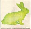 zelený-gen-králík0001~0.jpg